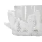 P/CAND Korall 12,5X9 cm MIN 2